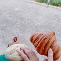 Concha and Criossant at Justo in Merida