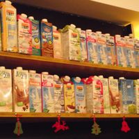 Great choice of vegan milks at Zoya - Aksakov St in Sofia