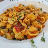 Pasta with tomato sauce and mixed vegetables at Il Bruco in Iseo