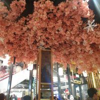  at Maki & Ramen - St James Quarter in Edinburgh