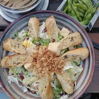 Spring rolls with salad on glass noodles, very good! at The Flying Monkey in Berlin