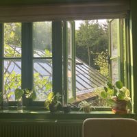 Sfeervol groen  at Bij De Tuinman in Hilversum