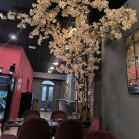  at Casa Tino in Cadiz