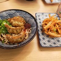 Gyoza and noodles with tempura battered veg. at Kineya Mugimaru in North London
