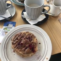   at Insensato in Tomar