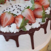   at Sweet Vegan Reus in Reus