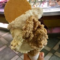 Vanilla, almond gelato with soy cream and vegan cookie at Gelarmony - Marcantonio Colonna in Rome