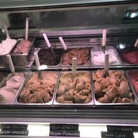 All the vegan options! at Gelarmony - Marcantonio Colonna in Rome
