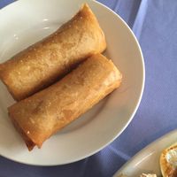 spring rolls  at New Harmony Vegetarian Restaurant in Philadelphia