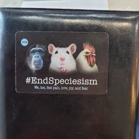  at Gaia & Loki in Jersey City