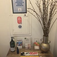 Cute decor at Gaia & Loki in Jersey City