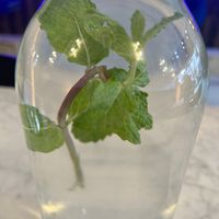   at Gaia & Loki in Jersey City