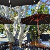  at The Harbour House Cafe in Whitianga