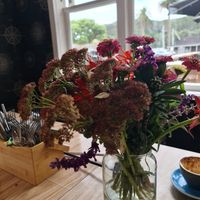 Inside seating at The Harbour House Cafe in Whitianga
