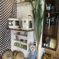   at Warung Green in Ubud