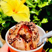 Chocolate Jing ice cream  at Rainbow Kitchen + Rebel Tonics in Haiku