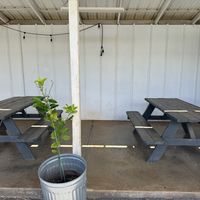 Seating   at Rainbow Kitchen + Rebel Tonics in Haiku