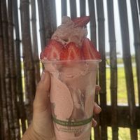   at Rainbow Kitchen + Rebel Tonics in Haiku