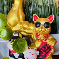   at MA-KIN in Agoura Hills