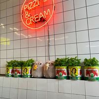  at Pizzi*s & Cream in Vienna