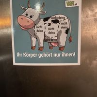   at Pizzi*s & Cream in Vienna