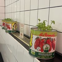   at Pizzi*s & Cream in Vienna