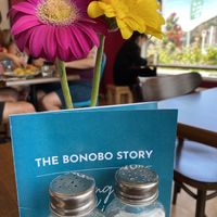  Bonobo Cafe, Sumner at Bonobo Cafe in Christchurch