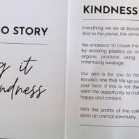   at Bonobo Cafe in Christchurch