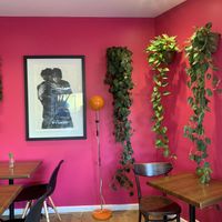 Bright inside  at Bonobo Cafe in Christchurch