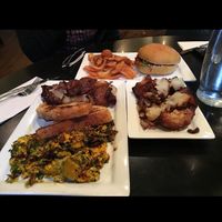   at The Owl House in Rochester