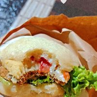  at Isla Vegana in Ushuaia