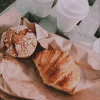  at Isla Vegana in Ushuaia