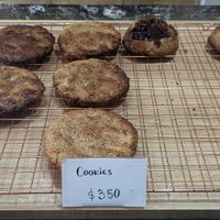  at Isla Vegana in Ushuaia