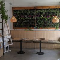 Green sitting area, not currently available to use at Isla Vegana in Ushuaia