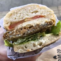 Garibaldi at Isla Vegana in Ushuaia