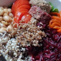  at Isla Vegana in Ushuaia