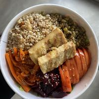   at Isla Vegana in Ushuaia