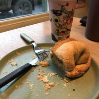   at Isla Vegana in Ushuaia