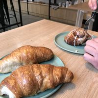   at Isla Vegana in Ushuaia