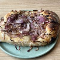   at Isla Vegana in Ushuaia