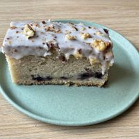   at Isla Vegana in Ushuaia