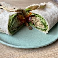   at Isla Vegana in Ushuaia