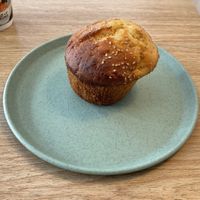   at Isla Vegana in Ushuaia