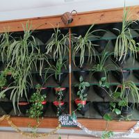 Inside the shop at Isla Vegana in Ushuaia