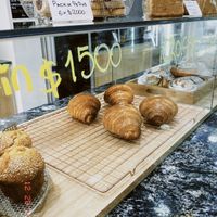   at Isla Vegana in Ushuaia