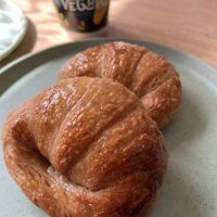   at Isla Vegana in Ushuaia