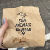   at Isla Vegana in Ushuaia