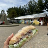 Seitan milanesa 😋  at Isla Vegana in Ushuaia