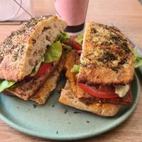  at Isla Vegana in Ushuaia