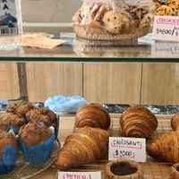  at Isla Vegana in Ushuaia